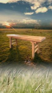 ม้านั่งไม้เต็งแผ่นเดียว ม้านั่งสนาม ม้านั่งยาว ม้านั่งไม้ เก้าอี้ไม้ เก้าอี้ยาว ม้านั่งกลางแจ้ง เก้าอี้สนาม Bench Chair Wood ไม้เต็ง ไม้เกรด A แข็งแรง ทนทาน