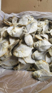 Ikan Petek Sedang Isi 1kg murah Kwalitas#ikanasin