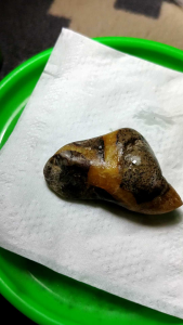 Batu akik MG madu pejoh gajh natural