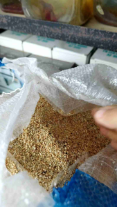 Pasir Bali Dekorasi Aquarium/ Aquascape 1kg