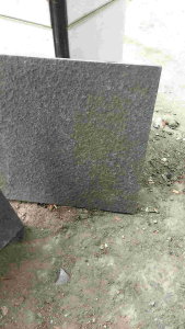 Batu Alam Ukuran 30x30: Pilihan Dekoratif untuk Eksterior dan Interior