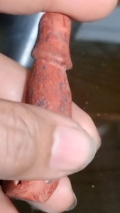 กัลปังหาแดงช่องประตูผีจานอักขระ