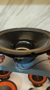 Speaker Woofer 12 Inch Curve 1230H120SRW