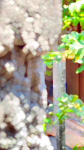 KAOS PECINTA SHOLAWAT