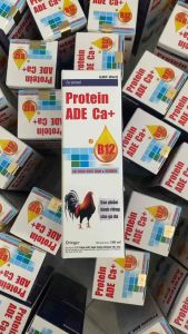 Protein ADE Ca+ B12 100ml bổ sung đạm và vitamin cho gà đá gà chọi