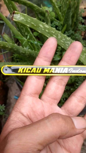 Emblem Sangkar Kicau Mania