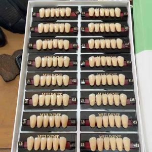 gigi MULDENT DEPAN BAWAH 1BOX ISI 16SET