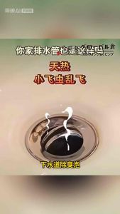 Sewer deodorant effervescent tablets bathroom odor removal kitchen floor drain deodorant toilet anti-odor root deodorant artifact