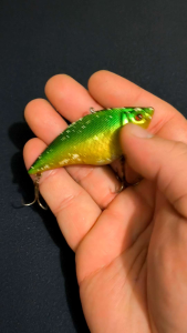 เหยื่อตกปลาญี่ปุ่นมือสอง เหยื่อกระดี่อ้วน เขียวทองส้ม