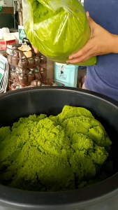 ไข่ผำสดราคาส่ง 1กิโลกรัม (แถมฟรี 100 กรัม)