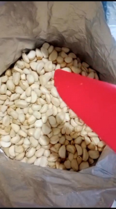 50 GR KERIPIK BAWANG PUTIH UTUH VIRAL | CEMILAN SEHAT