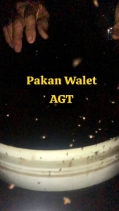 PAKAN WALET AM SUPER