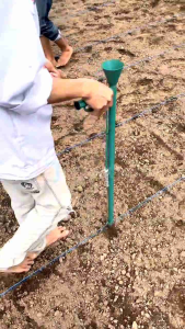 ALAT TANAM SIMPLE PLANTER - BISTAX JAYA