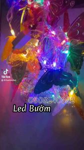 Dây đèn led sợi quang hình cánh bướm ngũ sắc 5m 20 bướm