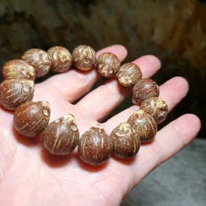 Raw 3-Eye Bodhi (zijinshu) bracelet [Natural unprocessed] 招财紫金鼠(三眼菩提)原籽手链
