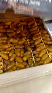 Kurma Ruthop Madu Muda 1 Kg Premium Fresh Dates Kurma Muda Promil grosir dan ecer terlengkap dan amanah