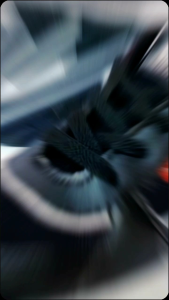 Sepatu Formal Anak: Tips Memilih & Mengenakan