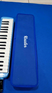 Kessler Melodihorn 37 keys in blue green pink with accessories