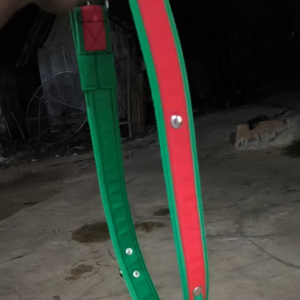 Kalung sapi dengan warna ijo merah sapi kalung sapi