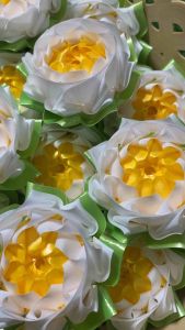 ดอกบัวดาว สีขาว เหรียญโปรยทาน ตัวเปล่า