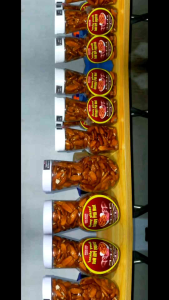 SALTED PILI NUTS 50 grms (ziplock silver pouch )Bicol product