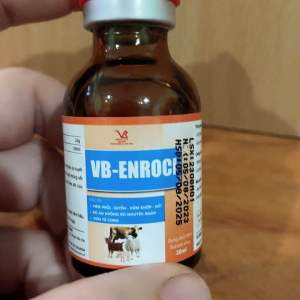 1 chai Enroci 20ml dùng cho hen suyễn viêm phổi viêm tử cưng sốt bỏ ăn thú y