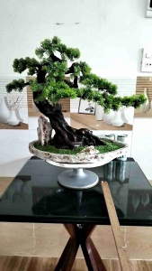 Cây Tùng Bách Bonsai Bằng Nhựa