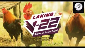 V22 Obat Ayam Import