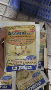 Trừ rầy bọ trĩ rệp sáp ASCEND 20SP - gói 8gam