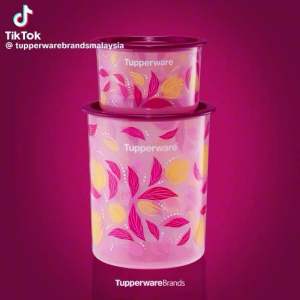 ถังทัปเปอร์แวร์ รุ่น Petalz One Touch Topper Junior