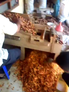Mesin Rajang empon2/Kunyit/Kunir Jahe Kunci Temu Lawak Porang Mesin Rajang Kunir Pisau Datar
