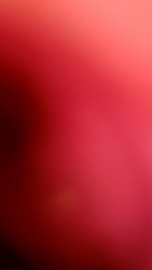 Gorden blackout tebal polos model plisket kawat S /cantolan minimalis pintu dan jendela Lebar 110cm