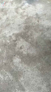 Hose high pressure water gun 软管高压水枪(5米)