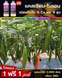 ราคาโปร!! ซื้อ 2 แถม 2 (ปุ๋ยธาตุรวม VAMAX+CABMAXแคลเซียม) ชุดทำดอก เร่งผล บำรุงต้น เสริมใบ