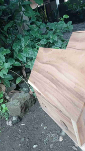 Kandang Kucing Anjing Burung Marmut Model Double