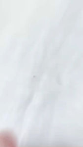 Combo Bánh tráng Phơi Sương Muối Tép Hành Siêu Bo 250g Bánh phơi sương