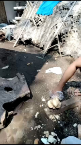 pencacah tulang asli bondowoso