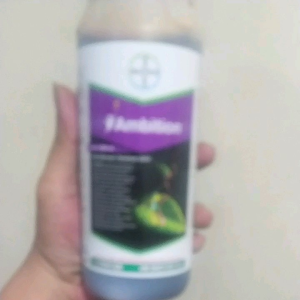 Ambition 500 ml Zat aktivator tanaman ZPT 100% Original [ Bayer ]  asam amino asam vulfat dan unsur mikro