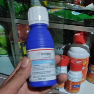 Insektisida Incipio 200SC 100ml Sygenta Original