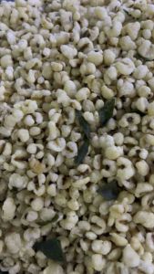 ลูกเดือยอบกรอบรสสมุนไพร น้ำหนัก 500กรัม ราคา 150บาท