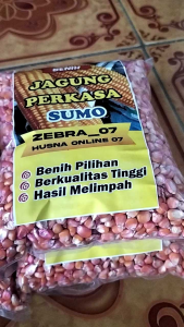 GROSIRRR !!! 1 KG BENIH JAGUNG PERKASA SUMO UNGULAN