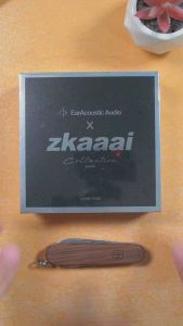 EarAcoustic Audio x zkaaai Cipher Dynamic Driver USB Type C DSP IEM Aluminum Wired Earphone with Mic