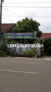 TOPLEM 100 ML LEM LALAT BUAH PENYEBAB BUSUK DAN RONTOK BUAH