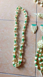 Melati pengantin Sunda/melati Sunda siger/melati sunda