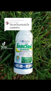 โกลเวียร์ กำจัดหญ้าในสวนมัน(ฉีดทับมันได้) โกลเวียร์ “มันต้องแบบนี้” ฉีดสาด ฉีดทับได้” สารสามัญ : quizalofop-P-ethyl สูตร : 5 % W/V EC ขนาด : 1000 มิลลิลิตร คุณสมบัติ : ใช้หลังวัชพืชงอก ในมันสำปะหลัง เพื่อกำจัดวัชพืชประเภทใบแคบ ผสมยา50ccต่อน้ำ20ลิตรครับ