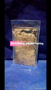 Bibit atau Biang Jakaba Kering