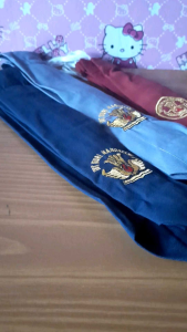 Dasi Sekolah Polos & Bordir Logo: Pilihan Tepat Untuk Anak SMP