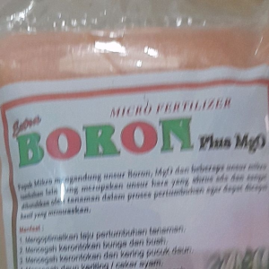 Pupuk Boron Plus MgO: Solusi Optimal untuk Pertumbuhan & Pembuahan Tanaman