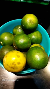 KARA Nata de Coco 1KG: Manfaat dan Cara Penggunaan