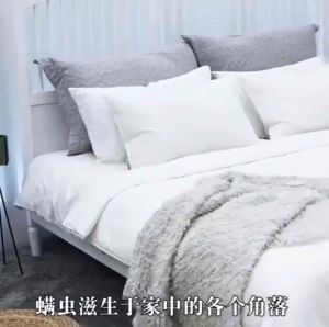 Beg Penghalau Hama Herba 草本祛螨包  (2包20片)  #升级版🔥母婴适用‼👍 #草🌿本植物家用驱防螨虫祛螨包💖